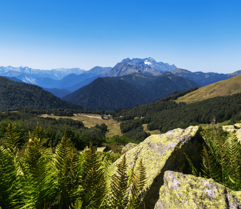 Источник: Siarhei Nester / Pexels