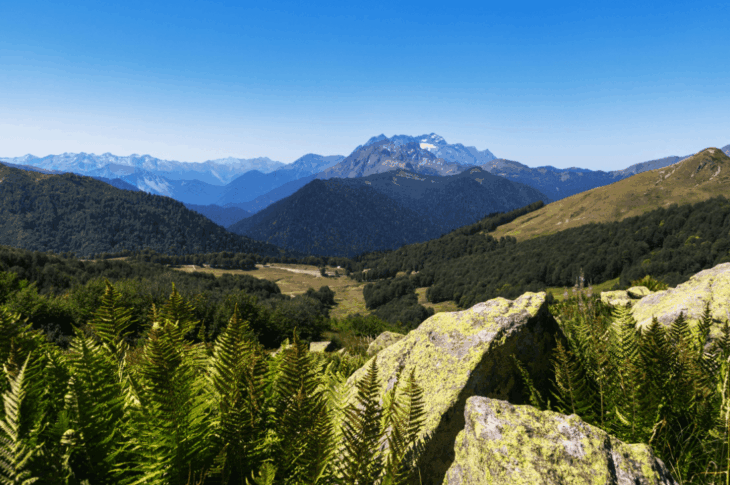 Источник: Siarhei Nester / Pexels