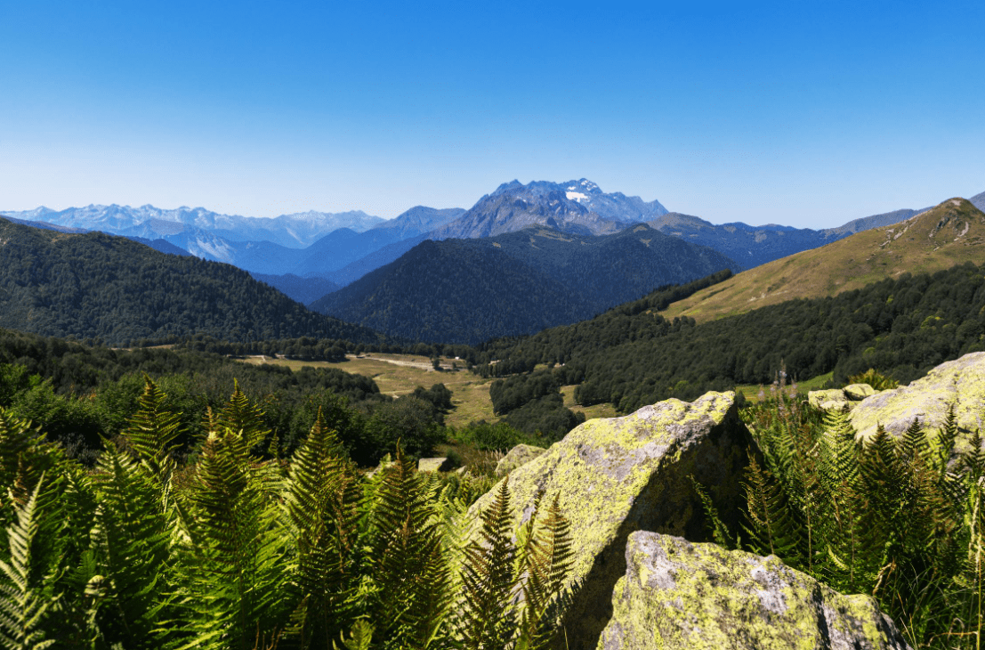 Источник: Siarhei Nester / Pexels